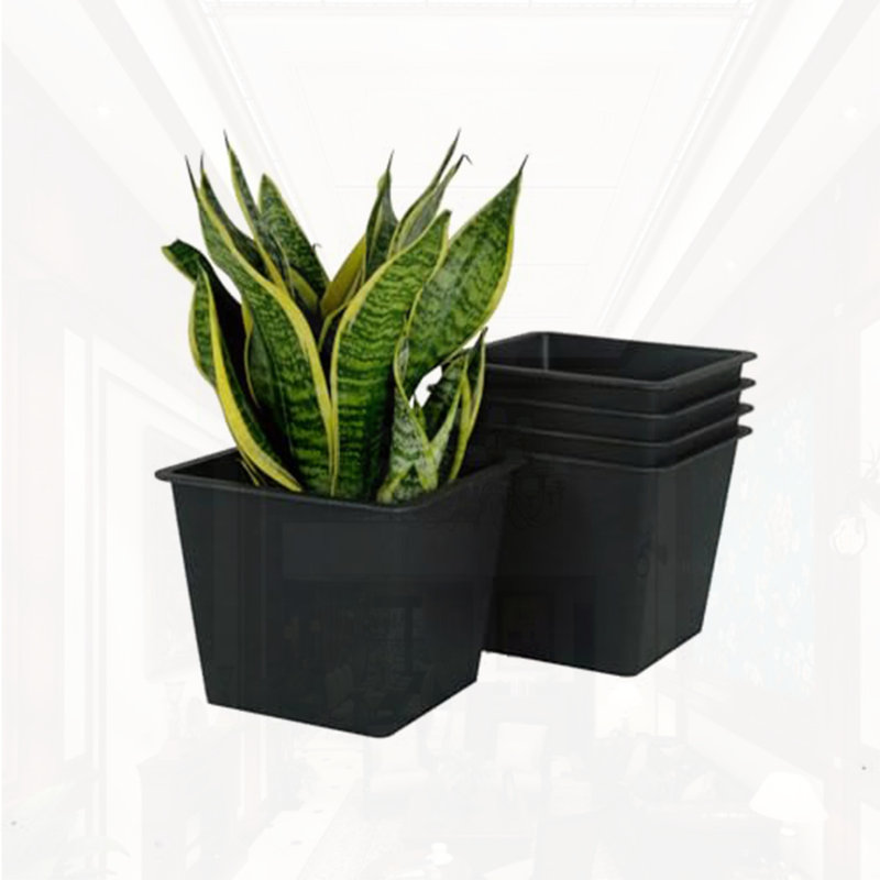 6.3" Square Nursery Plant Pot 5-Pack, 5.5" H x 6.3" W x 6.3" D
