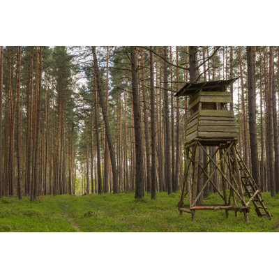 High Seat At The Edge Of A Forest by Kama71 - Wrapped Canvas Print