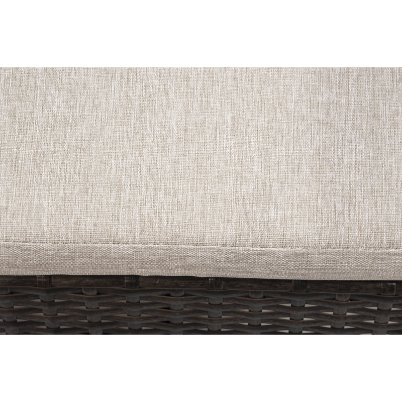Adreanne Wicker 4 - Person Patio Conversation Set with Cushions