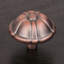 CK Series Knob-12829548-12829553