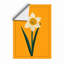 Daffodil Study Botanical - Framed Print-2053140437-2053140463
