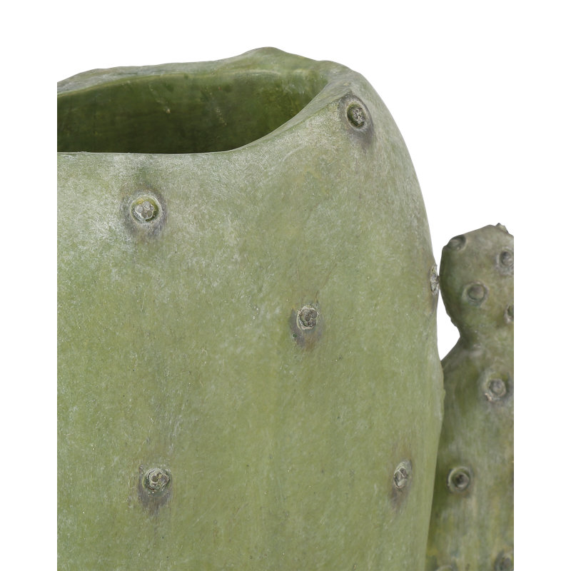 Cactus Vase Set Of 3