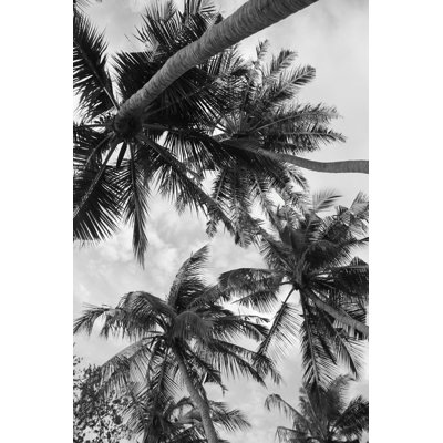 Palm Tree Silhouettes In Maldives - Wrapped Canvas Print