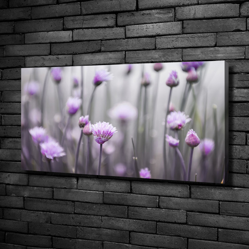 Flowers Of Chives - Wrapped Canvas Print, Canvas, 50cm H x 100cm W