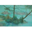 Serene Teal Lake Print by Other Artist-62162965-62162966-62162974