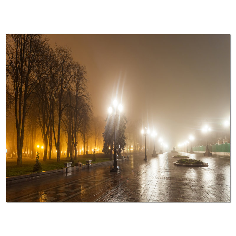 Avenue of City Park at Night - reproduction de photo sur toile tendue, H 30 po x l 40 po x P 1 po