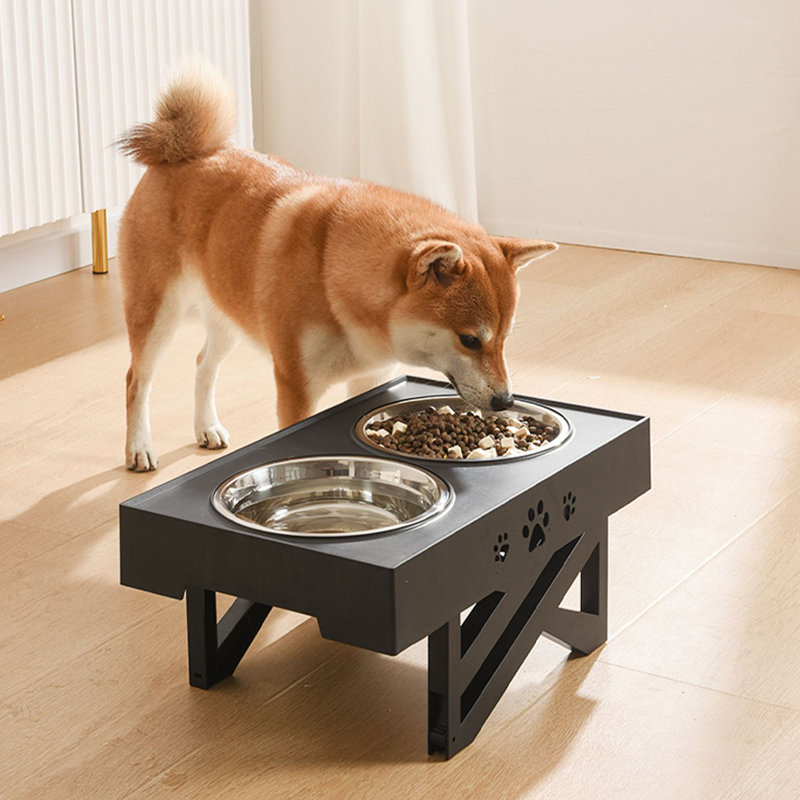 Pet Bowl