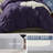 Bed-in-A-Bag Pleated Comforter Set with Bed Sheets-103134059-103134075