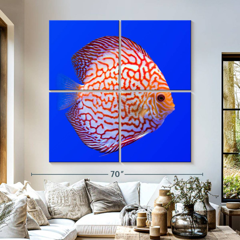 Brampt Exotic Discus Fish, 57" H x 57" W