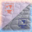 Couverture réversible Cooling-1210448363-1209643924