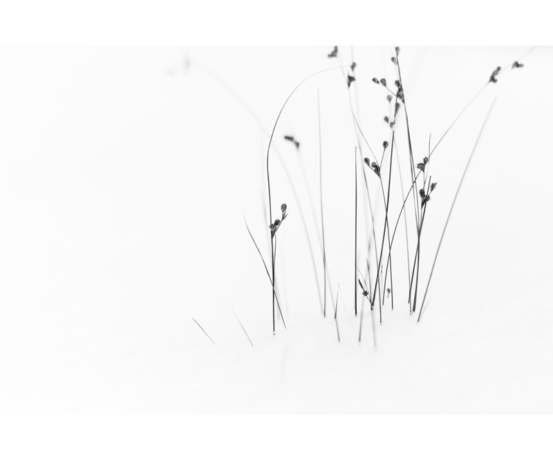 Wrapped Canvas Print, 50.8 cm H x 76.2 cm W