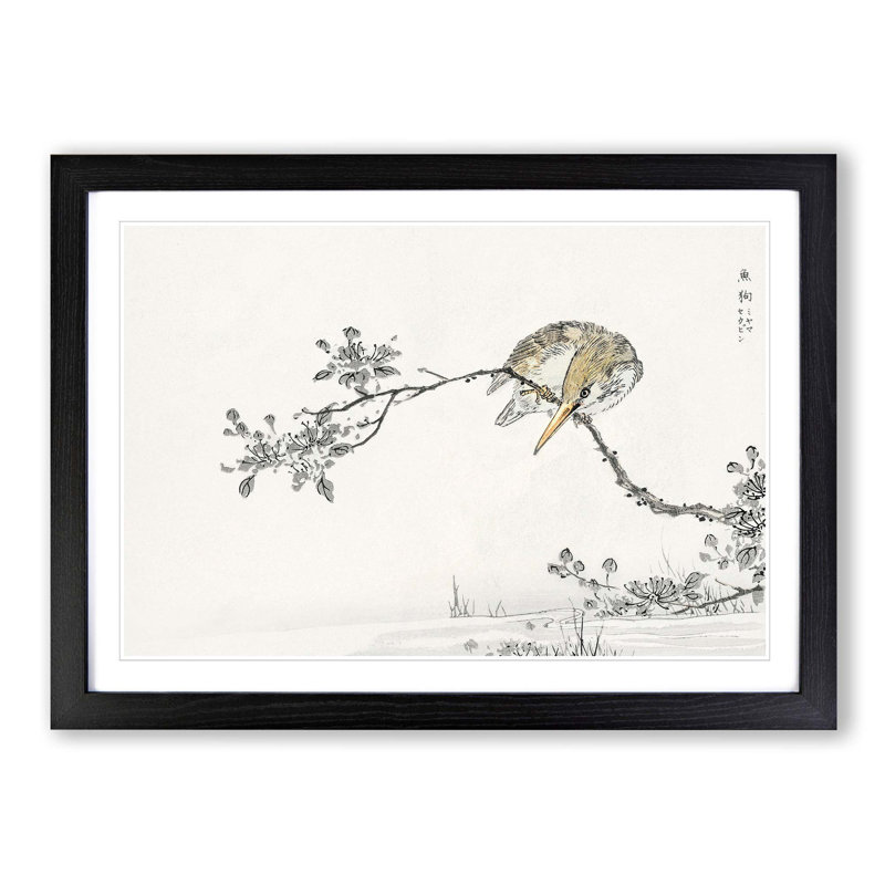 Pied Kingfisher by Numata Kashu - Picture Frame Painting Print, Black Framed, 48cm H x 65cm W x 2cm D
