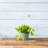 Carrero Pot Planter-579612687-579612681