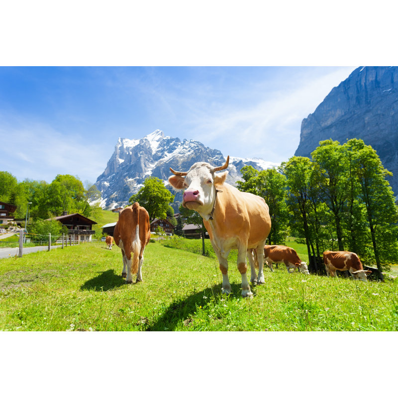 Herd Of Cows by SerrNovik - Wrapped Canvas Print, 20cm H x 30cm W
