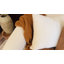 Canapé rembourré 90 po en chenille 90 po avec pieds en bois uniques-336483048