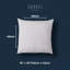 White Square Throw Pillow Insert Pillow Insert-123529557