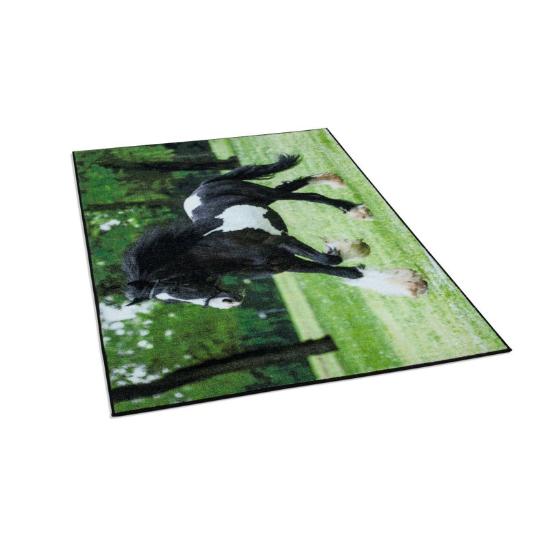 Banerjee Animal Print Area Rug, Rectangle 60 x 112 cm