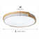 LED Flush Mount