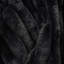 Blanket-1759531270