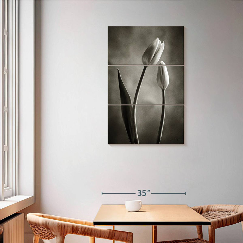 Tulipes Harnek à deux tons III, H 57 po x l 36 po