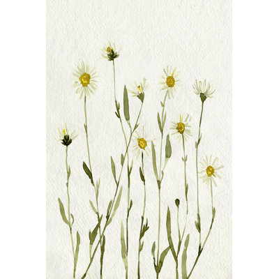 Marguerites blanches antiques II