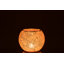 Glass Wall Tealight Holder-741403137-741403139