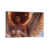 Toile blanche encadrée n'est pas disponible