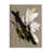 Bolog Design Fabrikken Explosive Canvas Art-105644634