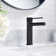 Single-Hole Single-handle Bathroom Faucet with Drain Assembly