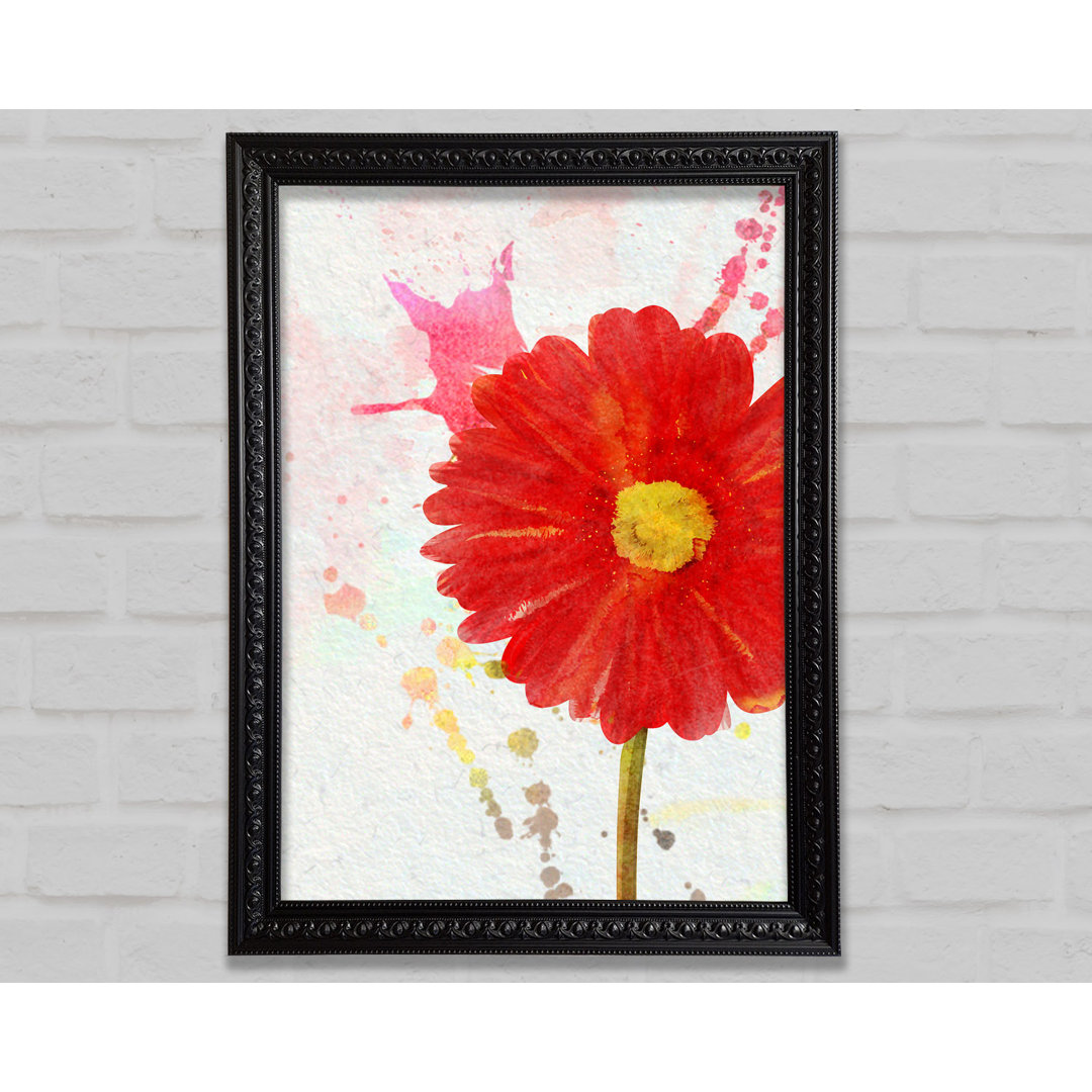 Gerbera Splash - Einzelner Bilderrahmen Kunstdrucke