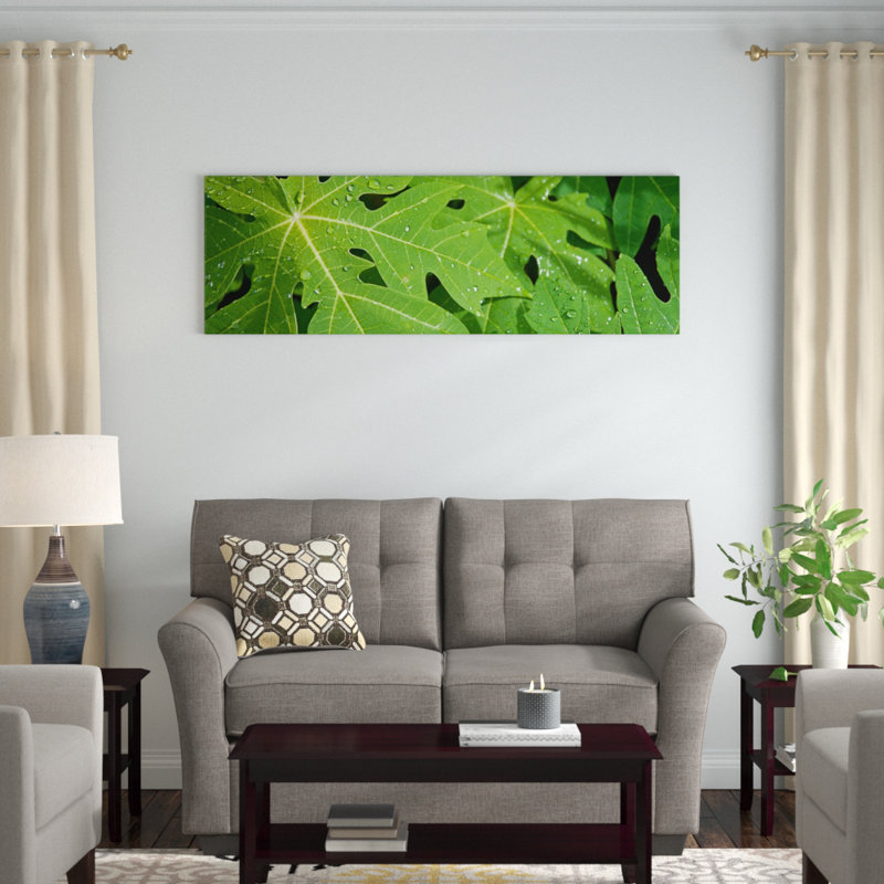 « raindrops on papaye tree leaves, la digue, seychelles », reproduction de photo sur toile, H 12 po x l 36 po x P 1,5 po