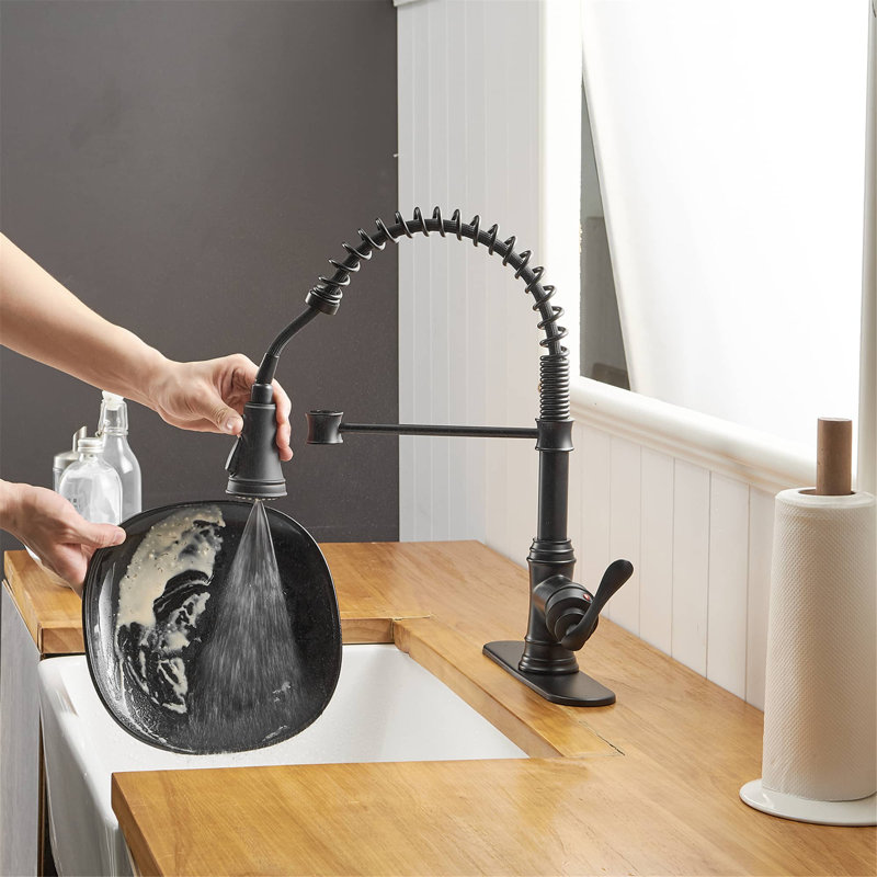 Robinet d'évier de cuisine commercial à poignée simple avec accessoires, Noir mat