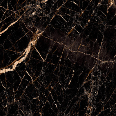 Portoro Gold 48" x 48" Marble Look Wall & Floor High Glossy Black Porcelain Tile