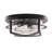 Glass Flush Mount