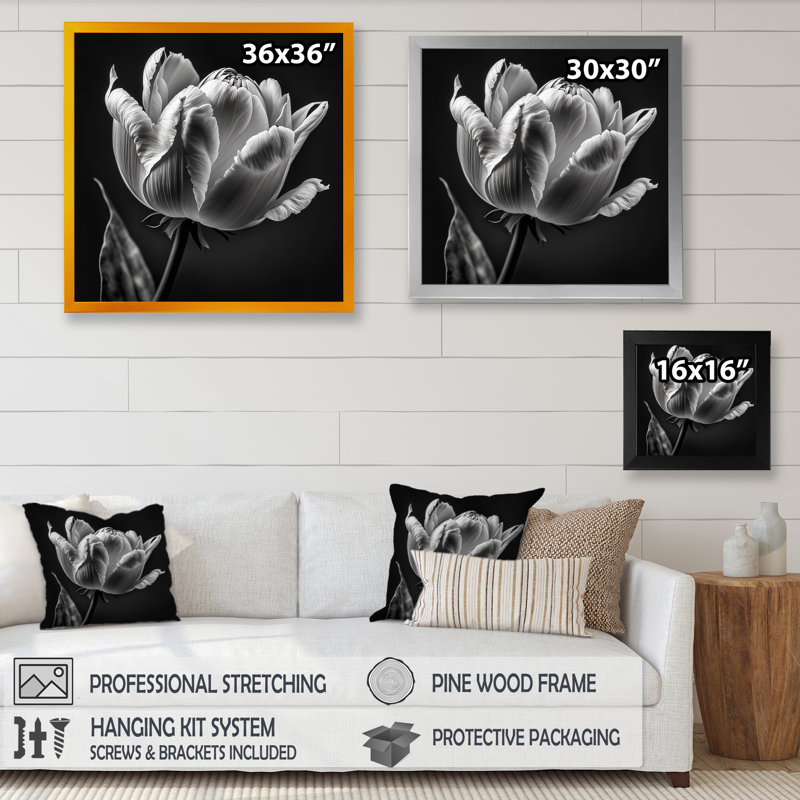 Gros plan sur une tulipe noire et blanche II - reproduction sur toile, H 16 po x l 16 po x P 1 po, Cadre photo noir