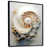 Black Floater Framed