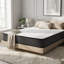Rebrilliant Mattress-333590482-333590486