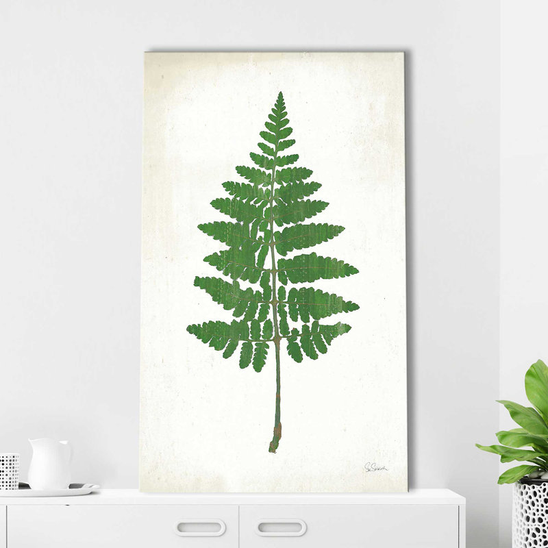 «Chalkboard Fern Green II» par Sue Schlabach - impression, Toile tendue, H 30 po x l 18 po x P 1 po