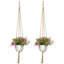Porte-plantes Clady