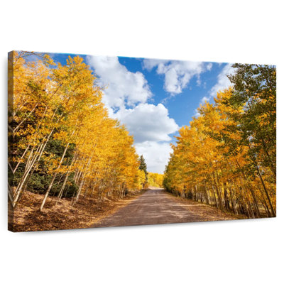 Alvord Dirt Road Aspens