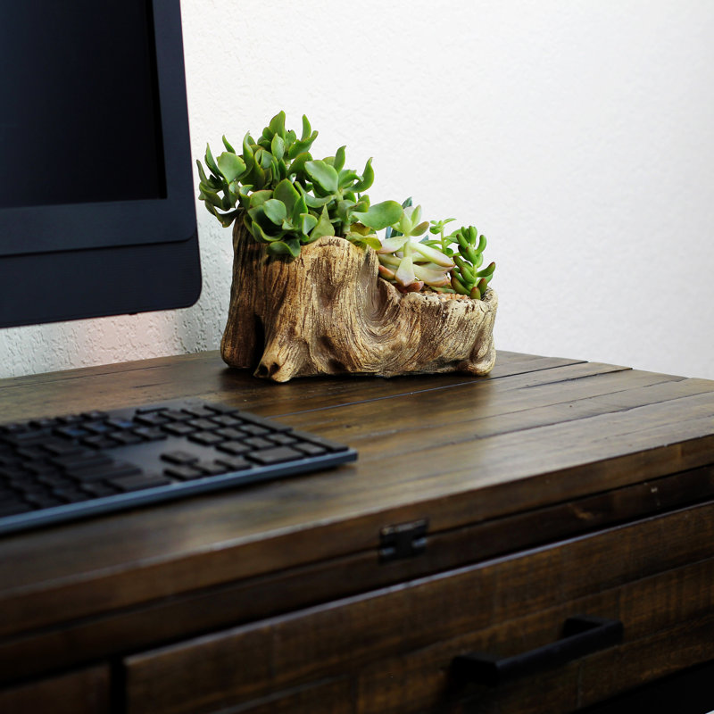 Kelm Ceramic Statue Planter, Brown
