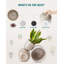 Ceramic Pot Planter-29410798