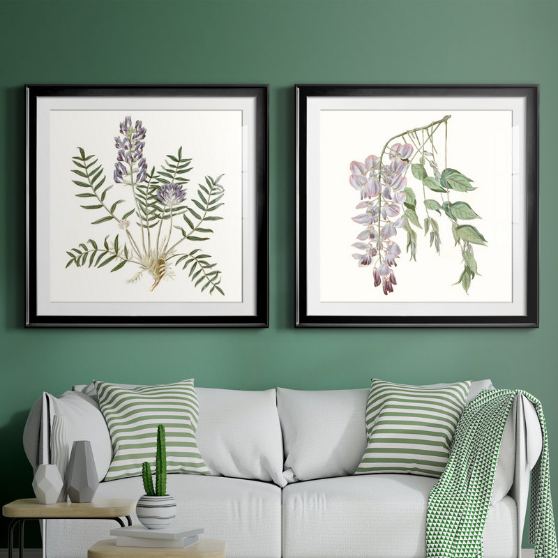 Graceful Botanical I - Graceful Botanical I - Ensemble de 2 reproductions de cadres photo, Papier encadré noir, Blanc