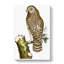 Clouded Owl by George Shaw - Wrapped Canvas-55304375