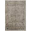 Zina Oriental Area Rug in Beige-1721140750