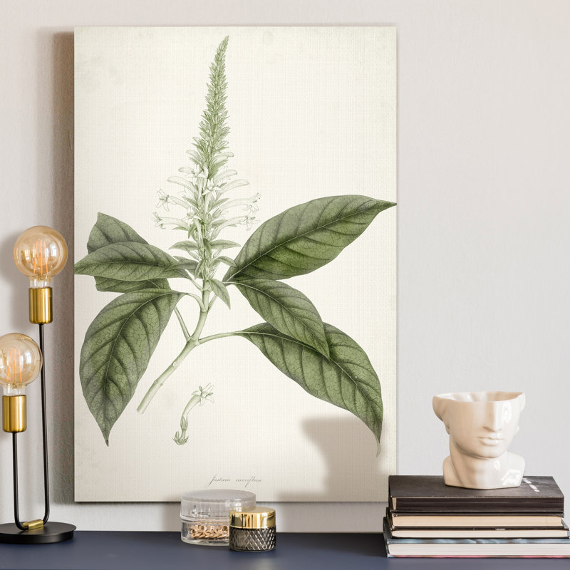« Sage Botanical II », reproduction d’art sur toile tendue, H 20 po x l 16 po x P 1 po