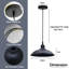 1 - Light Single Pendant-1689058182
