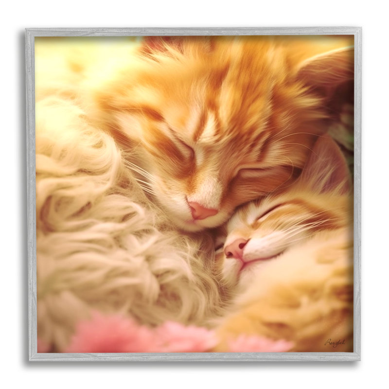 «Sleeping Orange Cats» par Roozbeh, reproduction de photo sur toile, Estampe numérique Farmhouse, H 12 po x l 12 po