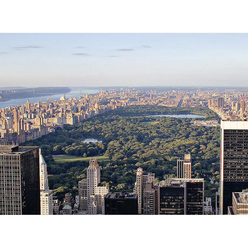 New York, Central Park, H 13 po x l 18 po