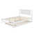 Blanc est en rupture de stock